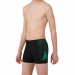 Speedo Gala Logo Panel Aquashort Boy Black/Fake Green