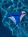 BornToSwim CZE Bikini Blue