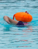 Úszóbója Swim Secure Dry Bag
